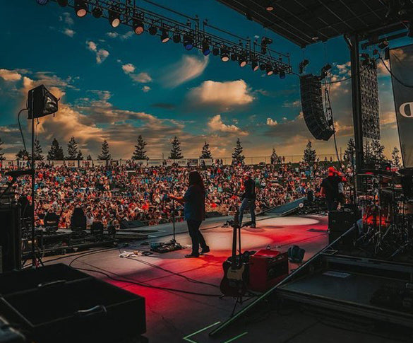 The lifespan of IEMs